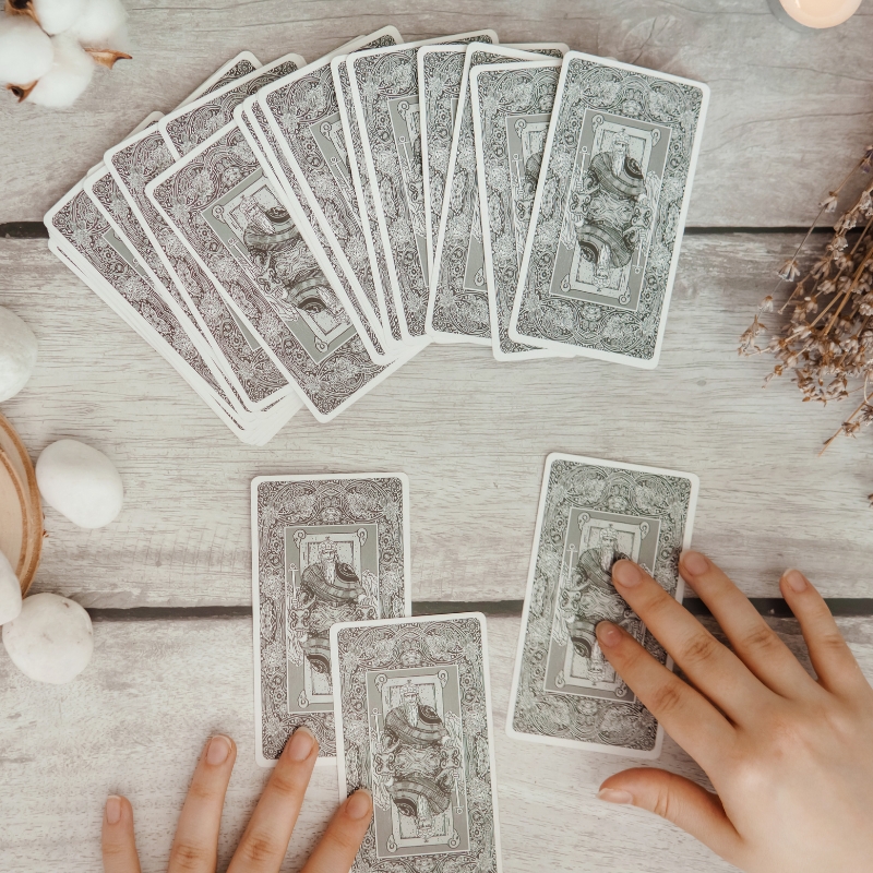 les grandes oreilles (3)